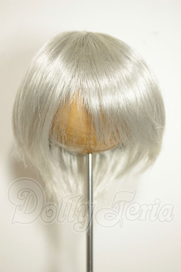 画像1: 9-10inch/ウィッグ A-26-09-14-377-NY-ZA (1)