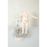 画像: ねんどろいどどーる/archetype:Woman ボディ A-26-09-21-105-NY-ZA