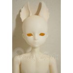 画像: elfin store EnS /ノアs A-26-09-21-356-NY-ZA
