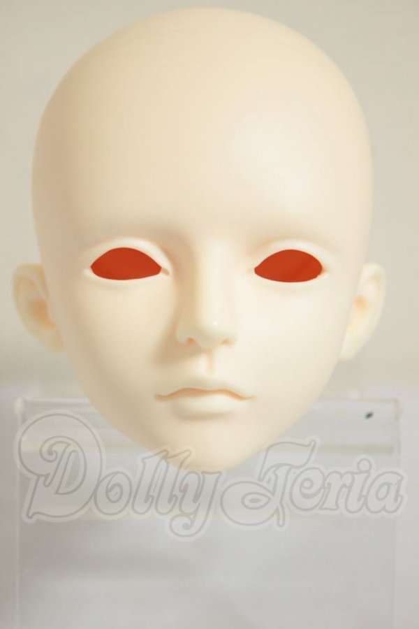 画像1: LUTS/Senior65 Delf XYLON　ヘッド A-26-09-21-306-NY-ZA (1)