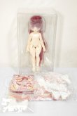 画像2: 不可食用人形/風息物語 SERENE（セリーン） A-26-09-21-144-NY-ZA (2)