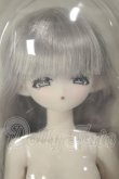画像1: COME4FREE/MINTY 霧羽の詩：オルシア A-26-09-21-118-NY-ZA (1)
