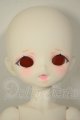 画像: 【DOLK×MAYDOLL】檸檬猫 - おおやまねこ ver. Limited A-26-09-21-107-NY-ZA