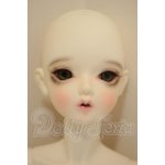 画像: Foveo/Pie A-26-09-21-201-NY-ZA