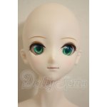 画像: DDF3ベースボディ/DDH-09彩色ヘッド A-26-09-21-217-NY-ZA