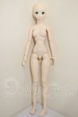 画像2: DDF3ベースボディ/DDH-09彩色ヘッド A-26-09-21-217-NY-ZA (2)