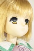 画像2: AZONE/マヤ/MAYA60 Heart of Gold A-26-09-28-101-YB-ZA (2)