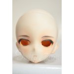 画像: DDH-10/カスタムヘッド A-26-09-28-112-YB-ZA