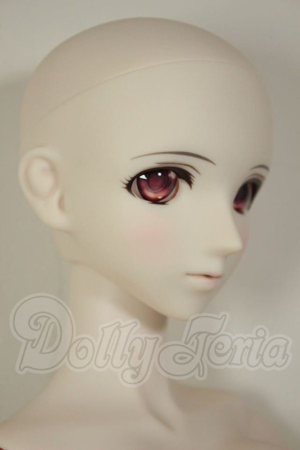 画像2: DD/KOS-MOS Ver.4 A-26-09-28-161-NY-ZA (2)