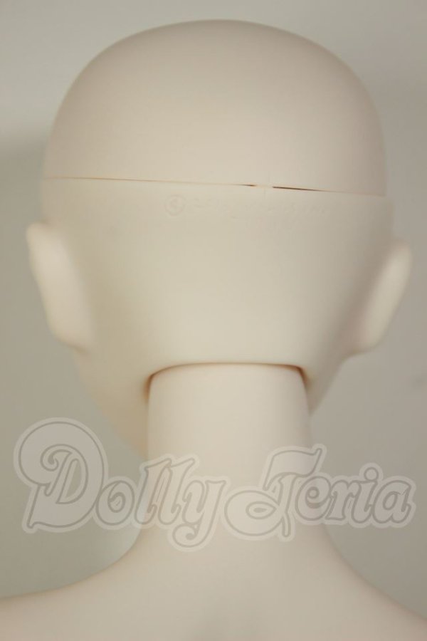 画像4: DD/KOS-MOS Ver.4 A-26-09-28-161-NY-ZA (4)