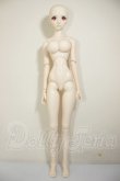 画像5: DD/KOS-MOS Ver.4 A-26-09-28-161-NY-ZA (5)