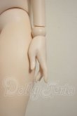 画像5: DDS/ベースボディ(DD-f3) A-26-09-28-202-NY-ZA (5)
