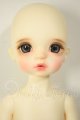 画像: DREAMING DOLL/Mew Marron-a type A-26-09-28-253-NY-ZA
