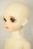 画像3: DREAMING DOLL/Mew Marron-a type A-26-09-28-253-NY-ZA (3)