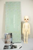 画像7: DREAMING DOLL/Mew Marron-a type A-26-09-28-253-NY-ZA (7)