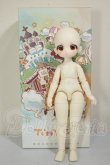 画像8: TinyFox 輝き夢見るペンギン デビー1/6 A-26-09-28-254-NY-ZA (8)