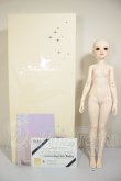 画像7: Asleep Eidolon/1/4 DingDang A-26-09-28-255-NY-ZA (7)