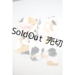 画像: SDM&MSD/OF:衣装セット A-26-09-28-342-NY-ZA