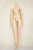 画像1: DD/ベースボディ　dd-f3 A-26-09-28-354-NY-ZA (1)