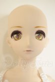 画像1: DD/ドリームチョイス/ヘッド刻印:造形村75 A-26-09-28-356-NY-ZA (1)