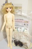 画像5: SDM女の子/コーディネートモデルF-56 A-26-09-28-361-NY-ZA (5)