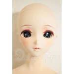 画像: DD2.0ボディ/DC-H-31 M02メイク ドリームチョイス A-26-09-28-351-NY-ZA