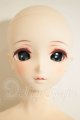 画像: DD2.0ボディ/DC-H-31　M02メイク　ドリームチョイス A-26-09-28-351-NY-ZA