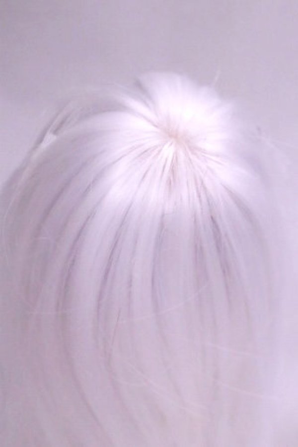画像2: 8-9inch/ウィッグ/インチ　BJD　MJD　ドール用 A-26-10-19-070-NY-ZA (2)