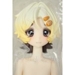 画像: 箱入りファーリー BOXED FURRY/小さなシェフ A-26-10-05-136-NY-ZA