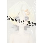 画像: 箱入りファーリー BOXED FURRY/小さなシェフ A-26-10-05-136-NY-ZA