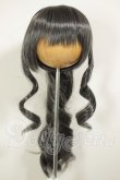 画像1: 8-9inch/ウィッグ：FANTASTIC WORLD様製 A-26-10-05-208-NY-ZA (1)