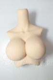 画像1: DD/上半身パーツ A-26-10-05-231-NY-ZA (1)