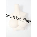 画像: DD/上半身パーツ A-26-10-05-231-NY-ZA
