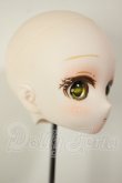 画像2: DDH-28/カスタムヘッド A-26-10-05-214-NY-ZA (2)