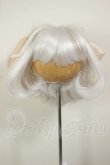画像1: 8-9inch/ウィッグ A-26-10-05-220-NY-ZA (1)