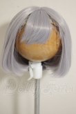 画像1: 8-9inch/ウィッグ A-26-10-05-248-NY-ZA (1)