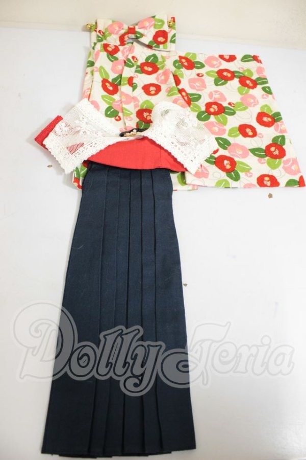 画像1: 40ｃｍサイズ/衣装　Zuzana - Literature  A-26-10-05-302-NY-ZA (1)