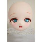 画像: DDH-01/カスタムヘッド A-26-10-05-259-NY-ZA