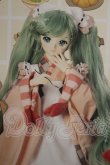 画像1: DD/OF 初音ミク「冬のごちそう」セット A-26-10-05-264-NY-ZA (1)
