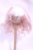 画像1: 8inch/ウィッグ/インチ　BJD　MJD　ドール用 A-26-10-26-059-NY-ZA (1)