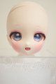 画像: DD/DDH-27:カスタムヘッド A-26-10-12-302-NY-ZA