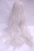 画像2: 8-9inch/ウィッグ/インチ　BJD　MJD　ドール用 A-26-10-26-083-NY-ZA (2)