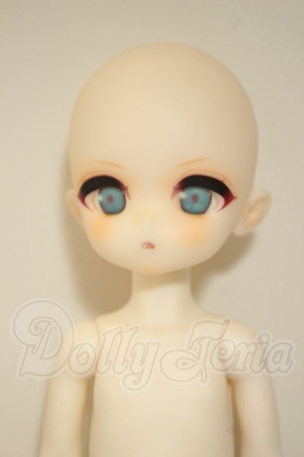 画像1: TinyFox/男の子ボディ・ヘッド A-26-10-05-381-NY-ZA (1)