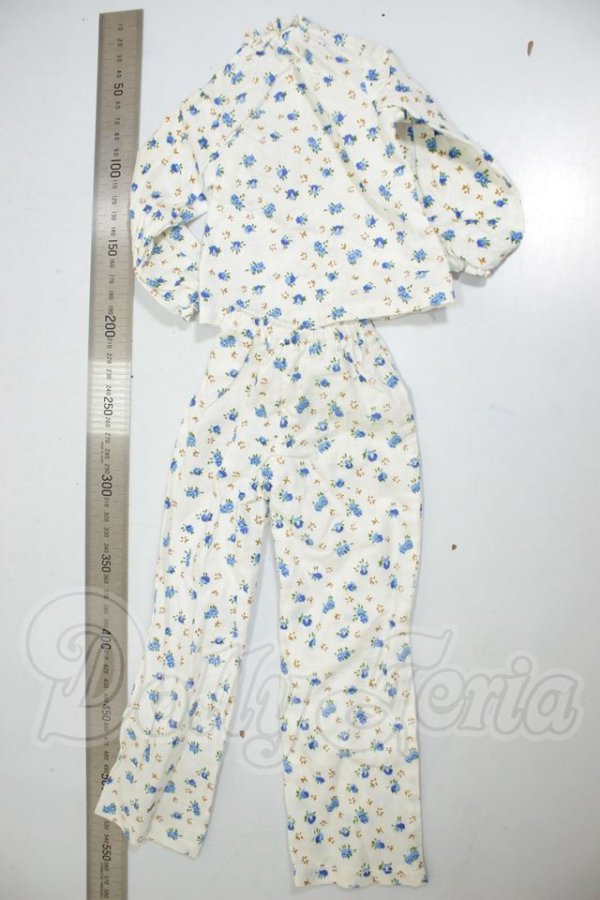 画像2: DD/OF:衣装セット A-26-10-12-240-NY-ZA (2)
