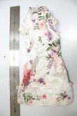 画像2: DD/OF:ドレス A-26-10-12-250-NY-ZA (2)