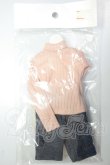 画像1: azone/OF:27cmサイズドール　衣装 A-26-10-12-158-NY-ZA (1)