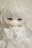 画像1: 月光童話物語2 ルナロア/幻蝶の秘境 隠月　シークレット A-26-10-12-276-NY-ZA (1)