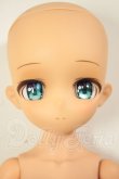 画像1: DOLLBOT/DBC アリシア 緑目ver.（ブラックダイヤモンド肌） A-26-10-12-200-NY-ZA (1)