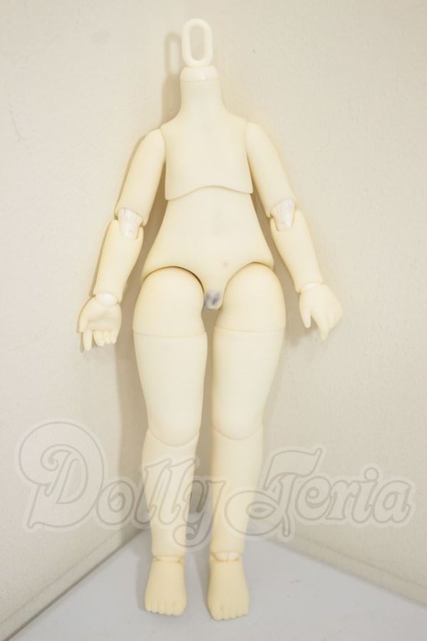 画像1: TinyFox/1/6サイズ　旧ボディ A-26-10-12-253-NY-ZA (1)