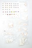 画像1: ブラインドドール/パーツ A-26-10-12-321-NY-ZA (1)